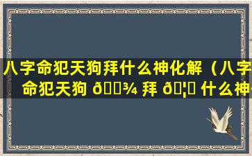 八字命犯天狗拜什么神化解（八字命犯天狗 🌾 拜 🦉 什么神化解煞气）